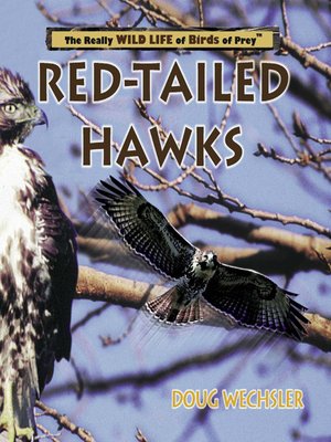 Red- Tailed Hawks - ebook